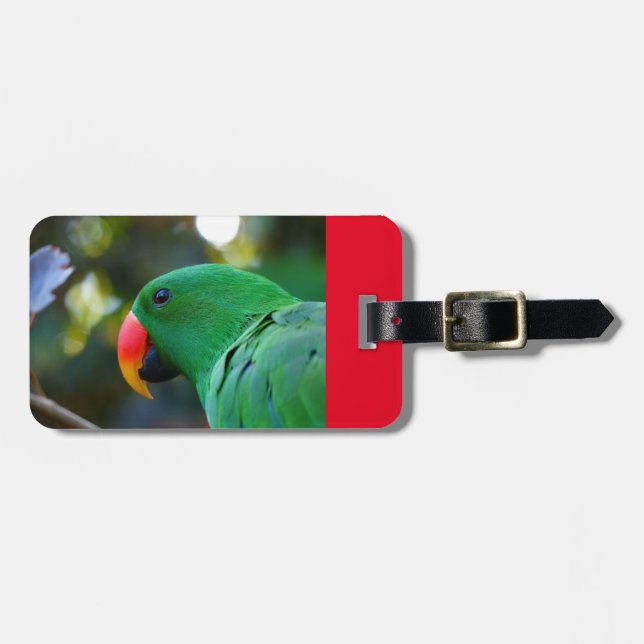 Luggage Tag with Eclectus Parrot (Front Horizontal)