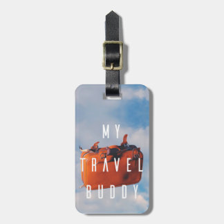 Luggage Tag With Leather Strap