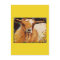 luggage tag with white and tan goat