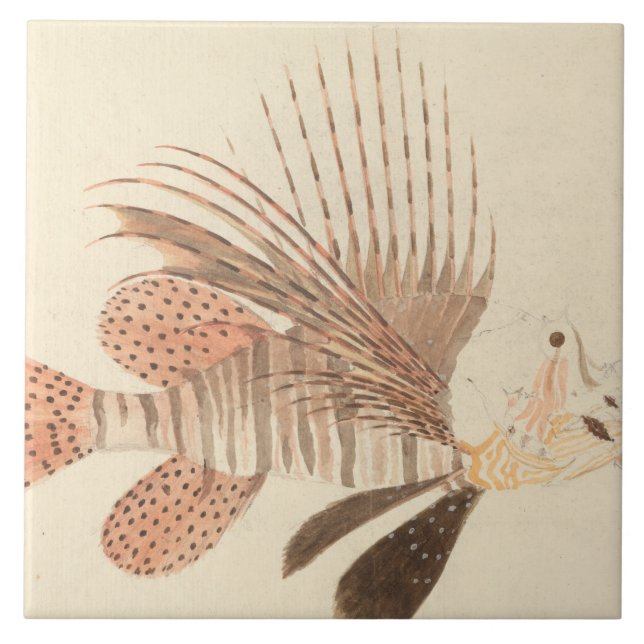 Luigi Balugani - Lionfish Tile (Front)