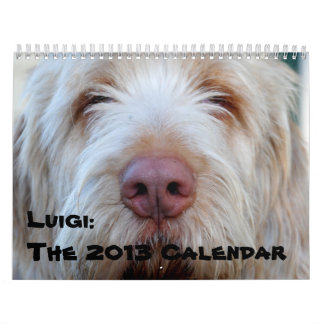 Luigi:  The 2013 Calendar
