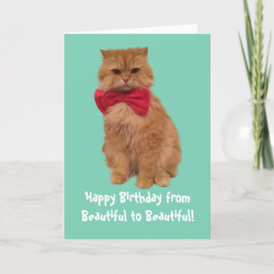 Luigi The Lion Cat Birthday Card