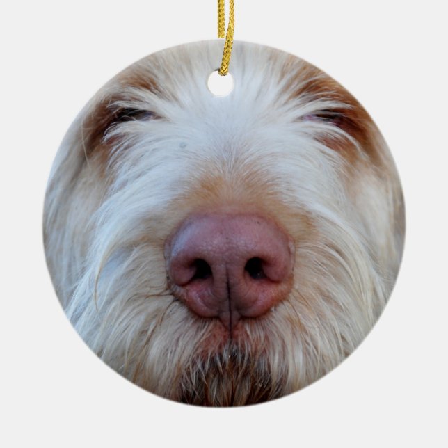 Luigi's Booper Ceramic Ornament (Front)