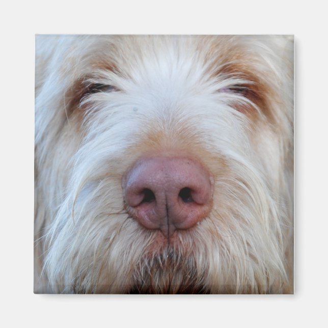 Luigi's Booper Fridge Magnet (Front)