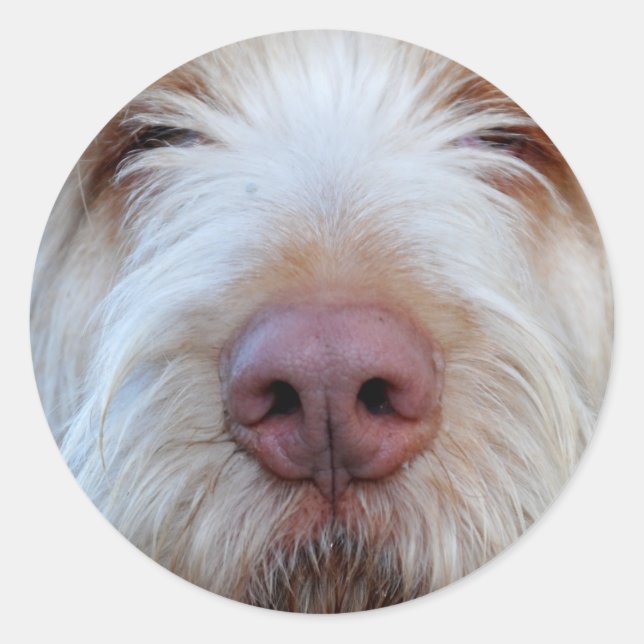 Luigi's Booper Sticker (Front)