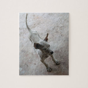 Luk Maa ... Thai Soi Puppy Dog Jigsaw Puzzle