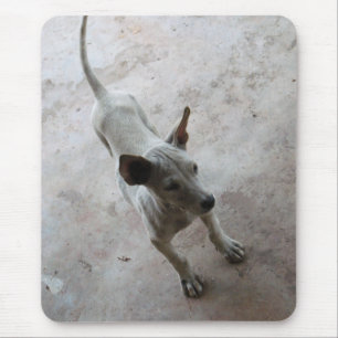 Luk Maa ... Thai Soi Puppy Dog Mouse Mat
