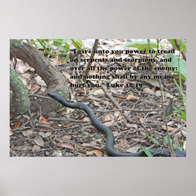 Luke 10:19 Scripture Poster (Front)