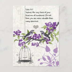 Luke 12:7 you are more valuable than many sparrows postcard