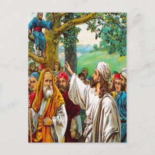 Luke 19:1-10 Jesus Saves a Tax Collector postcard