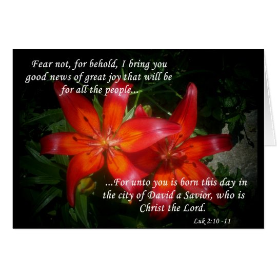 Luke 2:10-11 card