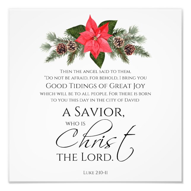 Luke 2:10-11 Good Tidings Poinsettia Christmas Photo Print (Front)