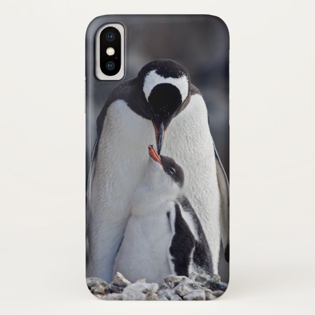 Lullaby iPhone X Case (Back)