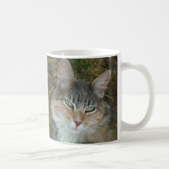 Lulu - dozing at Noon Coffee Mug (Right)