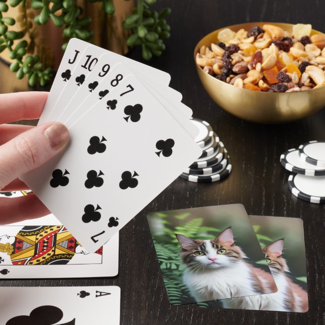 Lulu The Ragdoll Cat, Deck Of Playing Cards (In Situ)