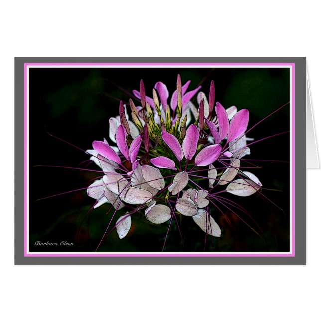 Lulu's Garden (Front Horizontal)