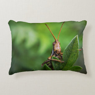 Lumbar Pillow 13" x 21"