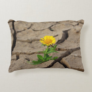 Lumbar Pillow 13" x 21"