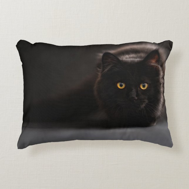 Lumbar Pillow 13" x 21" (Front)