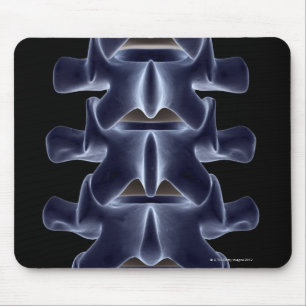 Lumbar Vertebra 2 Mouse Mat