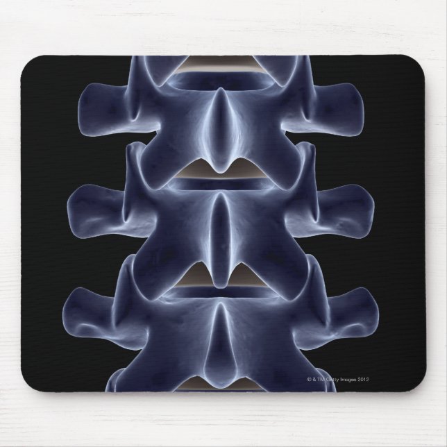 Lumbar Vertebra 2 Mouse Mat (Front)