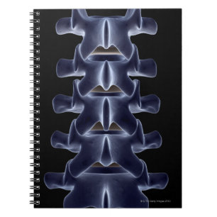 Lumbar Vertebra 2 Notebook