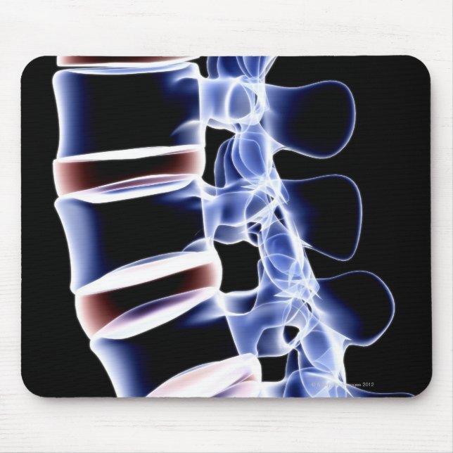 Lumbar Vertebrae 2 Mouse Mat (Front)