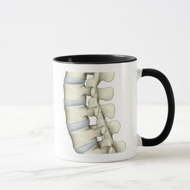 Lumbar Vertebrae Mug (Right)