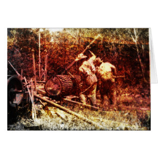 Lumber for the house