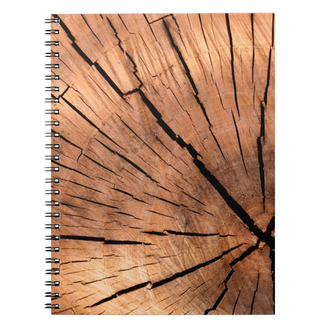 Lumber log wood tree cross section notebook (Front)