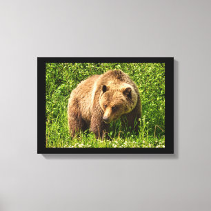 Lumbering Grizzly Bear Canvas Print