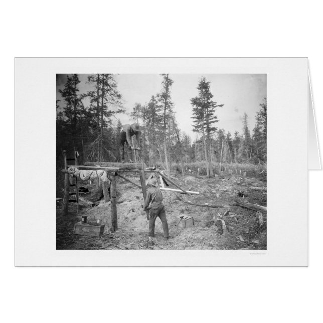 Lumberjacks in Alaska 1916 (Front Horizontal)
