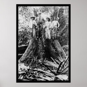 Lumberjacks in Mindoro Region, Philippines 1906 Poster