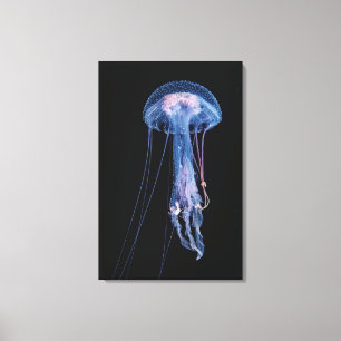 Luminescent Jellyfish Canvas Print