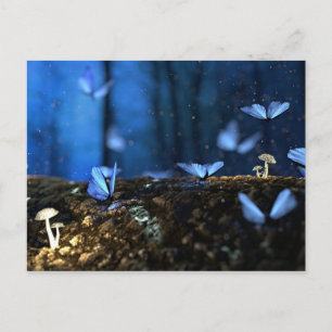 Luminescent mushrooms postcard