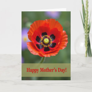 Luminous Bloom Mother Card