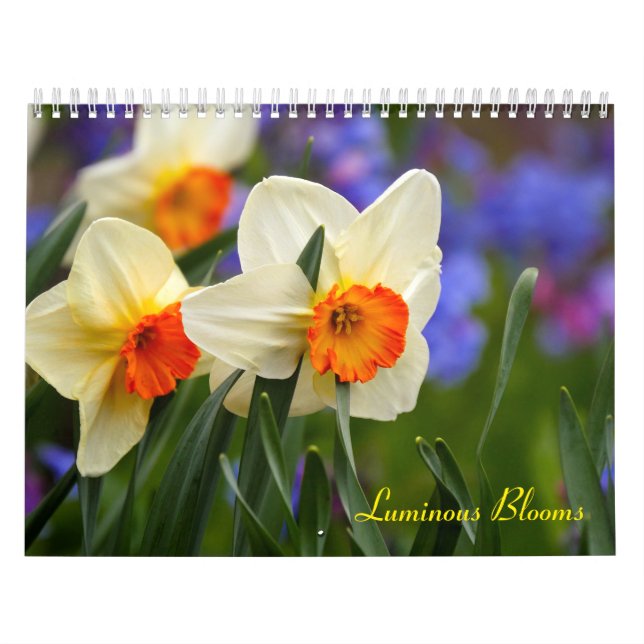 Luminous Blooms Calendar (Cover)