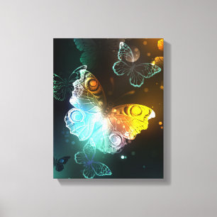 Luminous Butterfly and Night butterflies Canvas Print