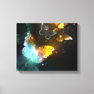Luminous Butterfly and Night butterflies Canvas Print
