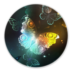 Luminous Butterfly and Night butterflies Ceramic Knob