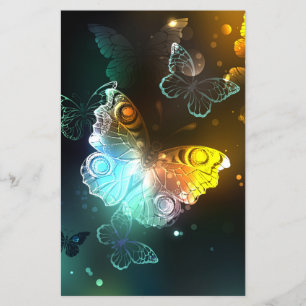 Luminous Butterfly and Night butterflies Flyer