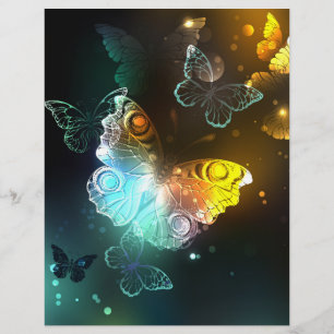 Luminous Butterfly and Night butterflies Flyer