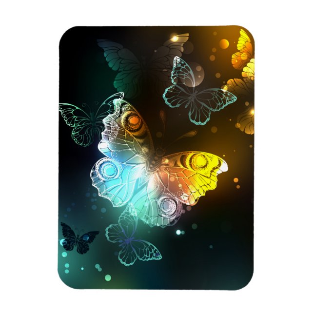 Luminous Butterfly and Night butterflies Magnet (Vertical)