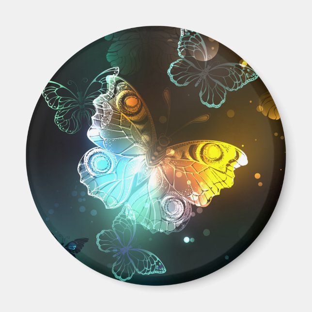 Luminous Butterfly and Night butterflies Magnet (Front)