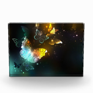 Luminous Butterfly and Night butterflies Photo Block