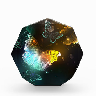 Luminous Butterfly and Night butterflies Photo Block