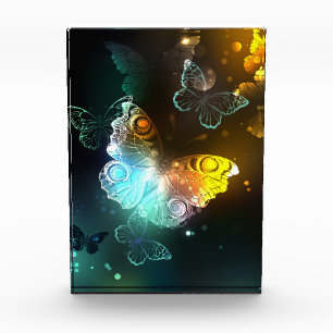 Luminous Butterfly and Night butterflies Photo Block