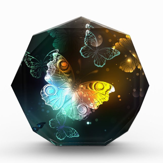 Luminous Butterfly and Night butterflies Photo Block (Front)