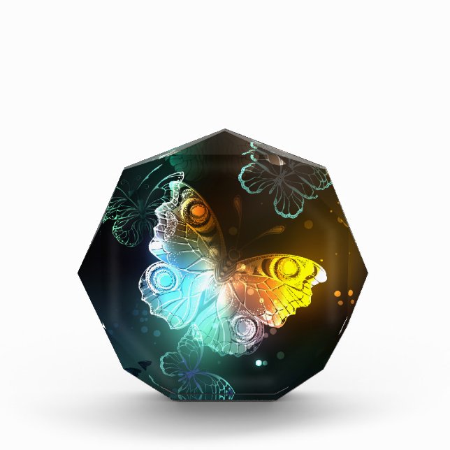 Luminous Butterfly and Night butterflies Photo Block (Front)