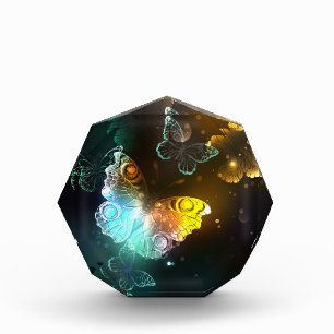 Luminous Butterfly and Night butterflies Photo Block